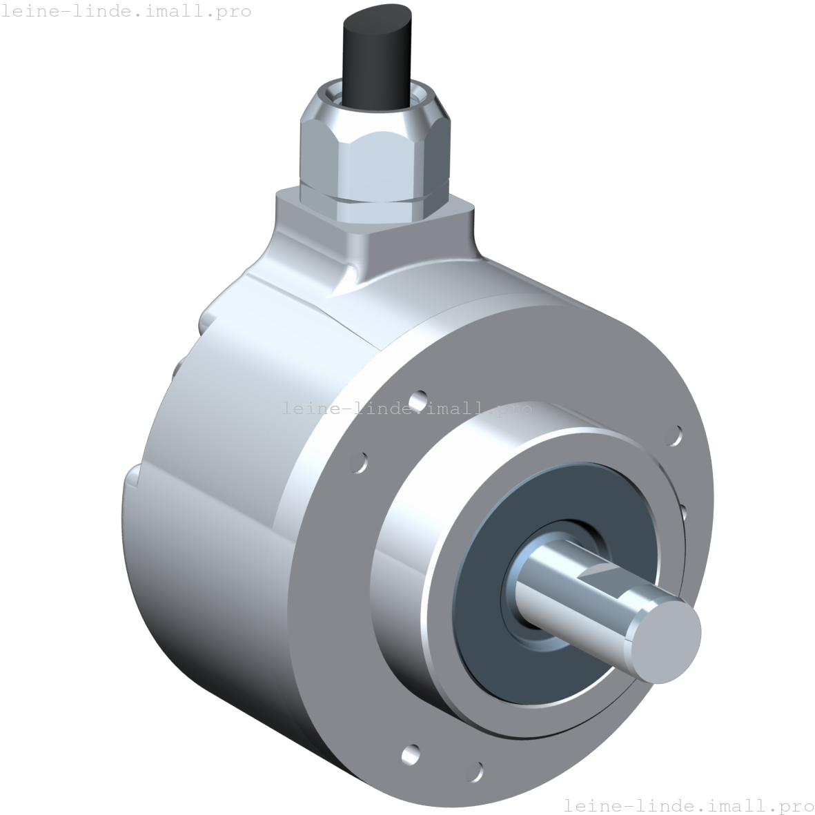 746081-01 Leine & Linde