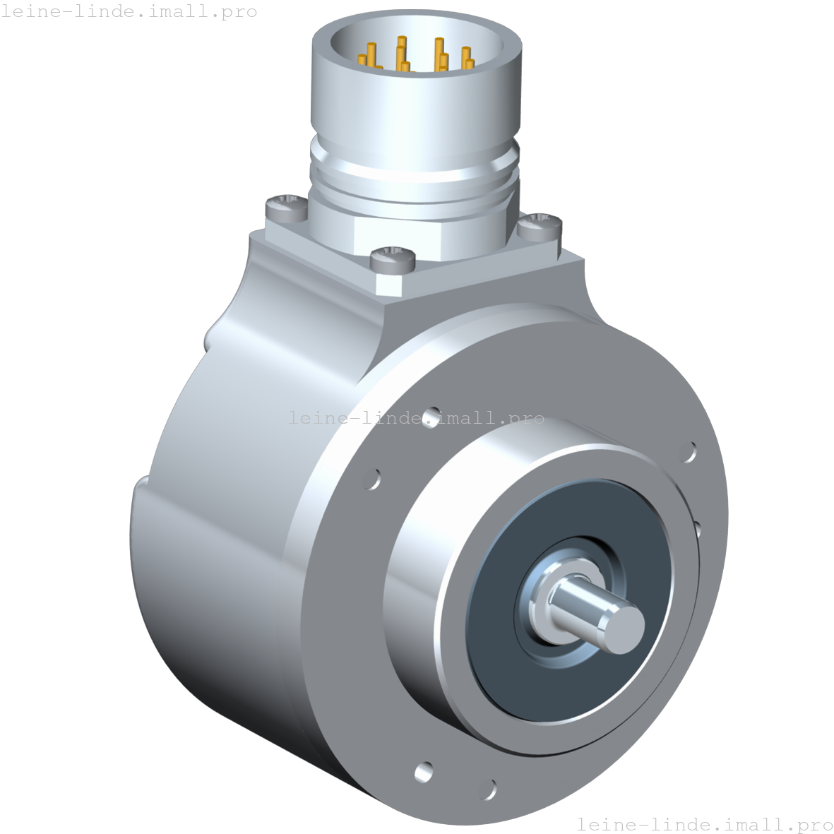 507677-01 Leine & Linde