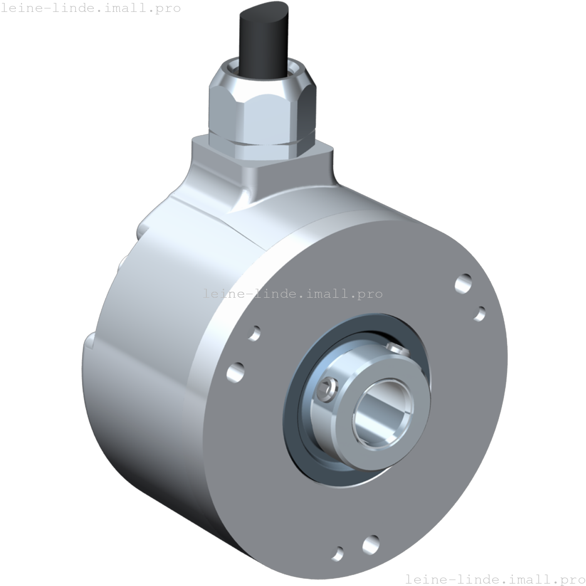 593820-02 Leine & Linde