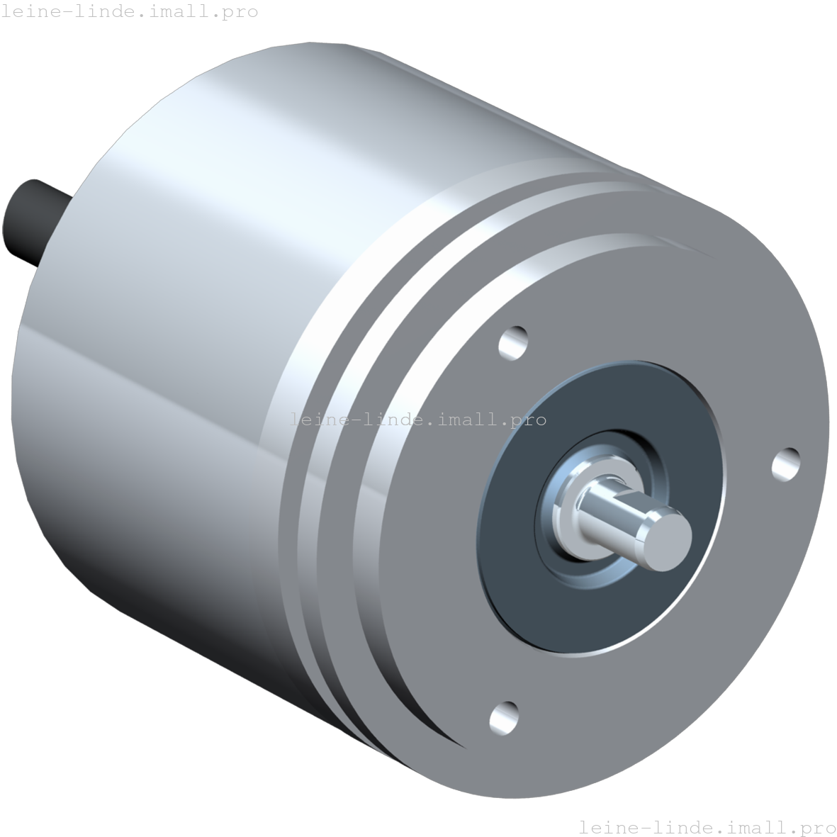 663466-01 Leine & Linde