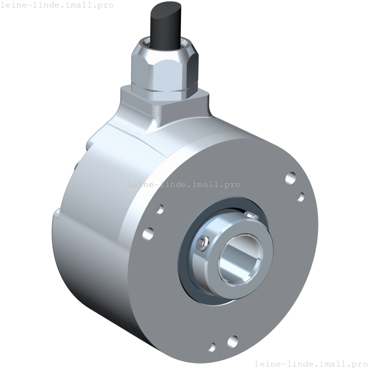 579733-08 Leine & Linde