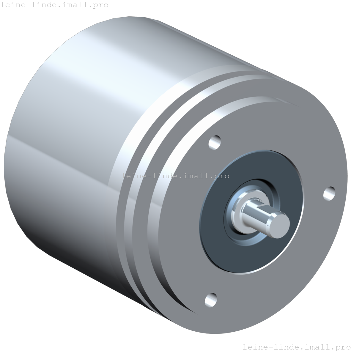 517538-14 Leine & Linde