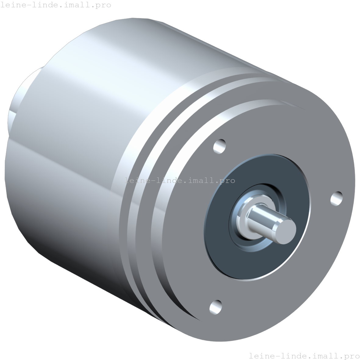 517596-01 Leine & Linde