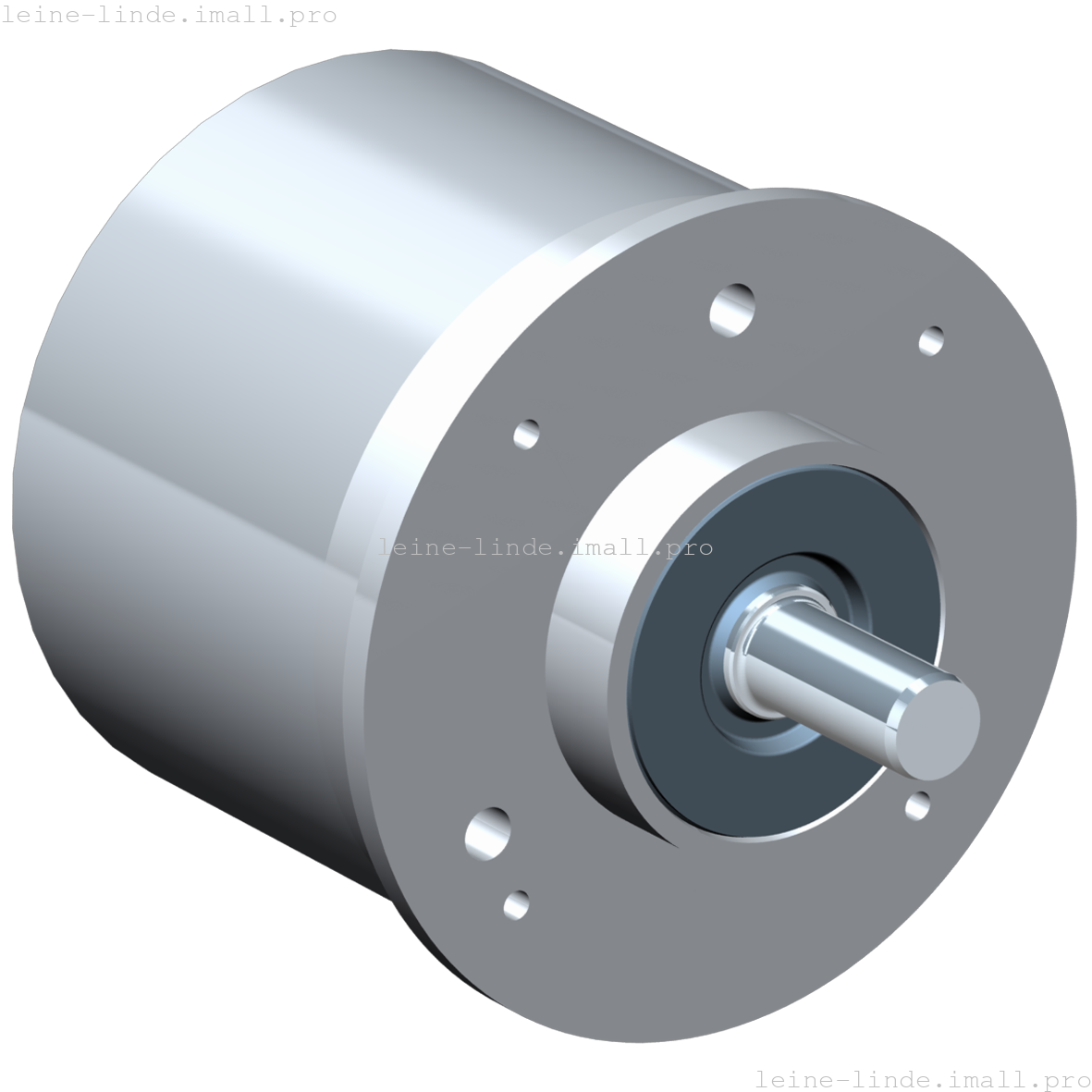 527781-01 Leine & Linde