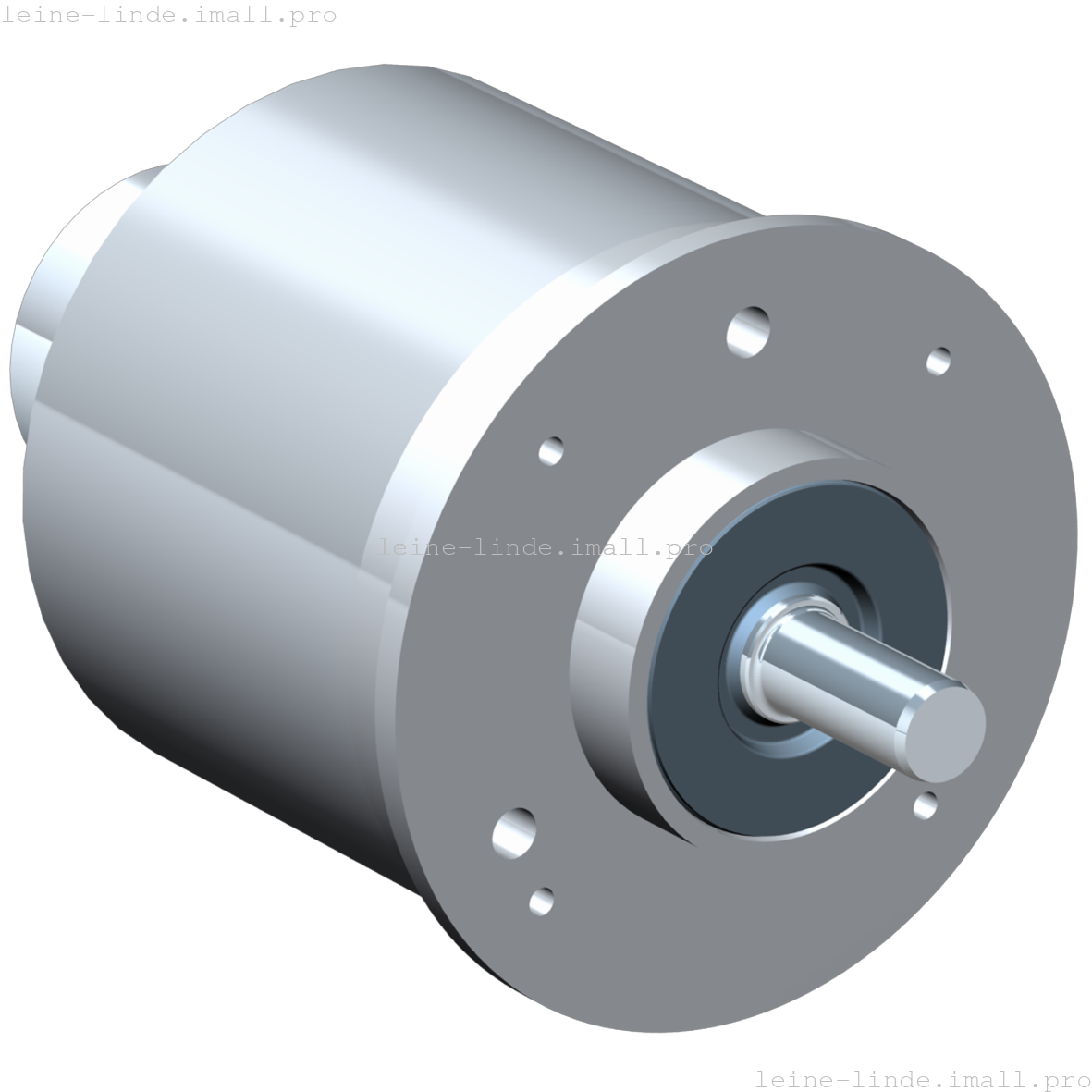 527805-01 Leine & Linde