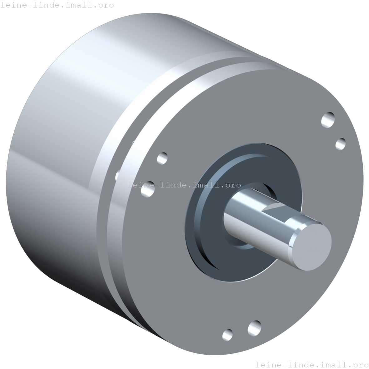 535538-03 Leine & Linde