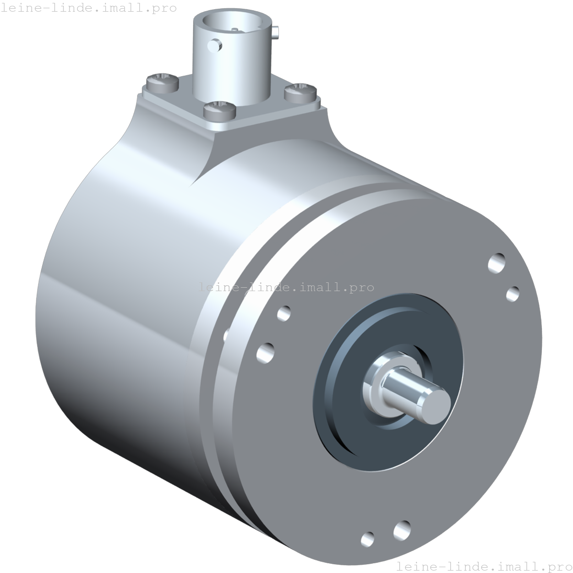 551313-01 Leine & Linde