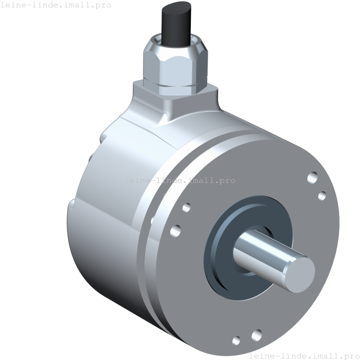 577836-01 Leine & Linde