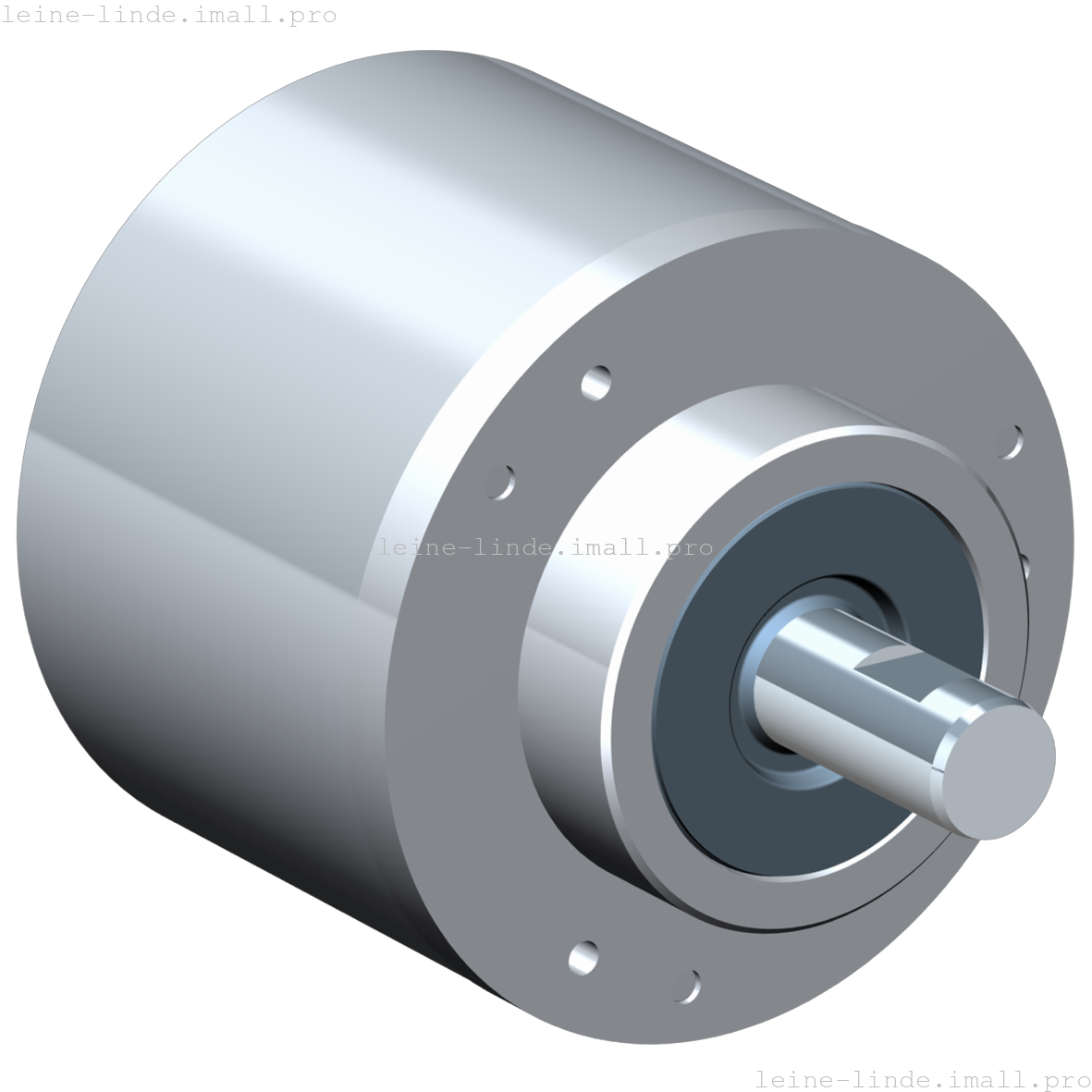 1293475-01 Leine & Linde