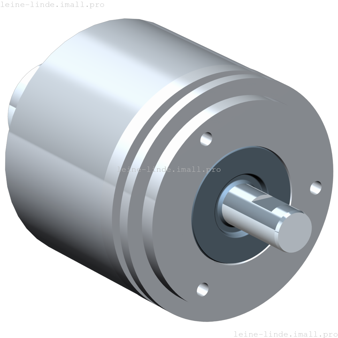 538495-01 Leine & Linde