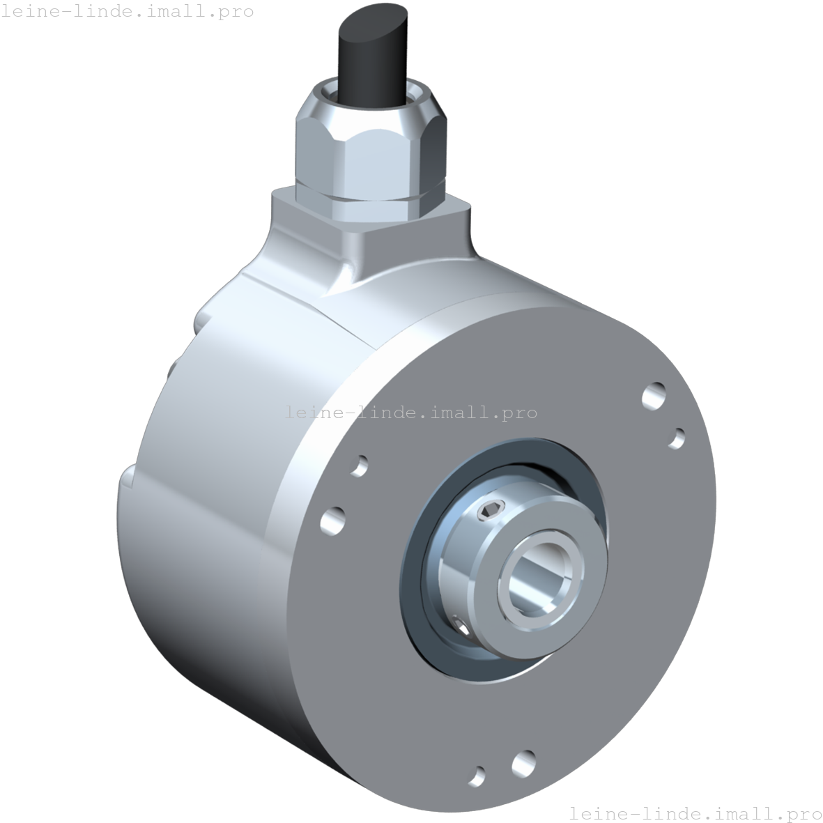 635583-01 Leine & Linde