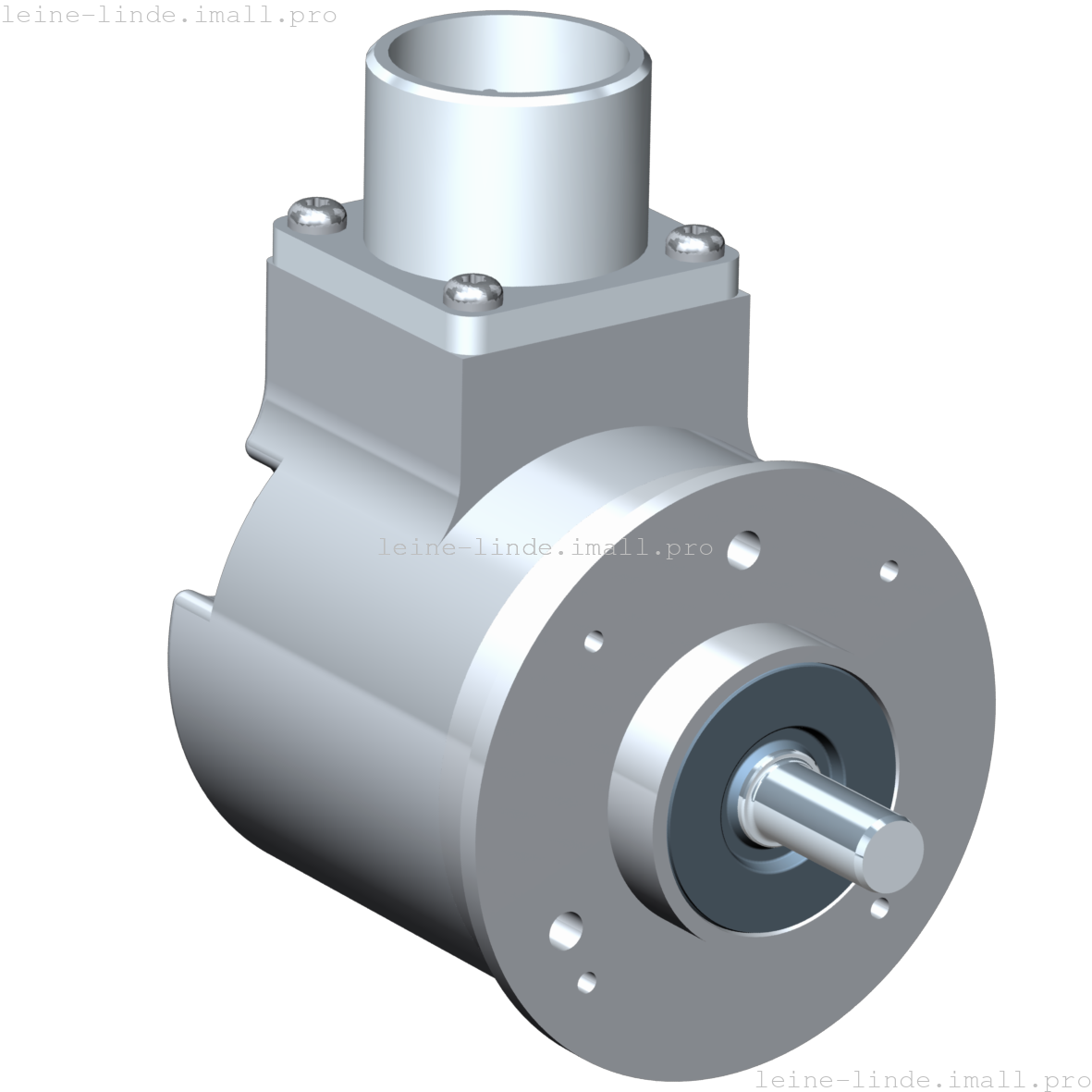 640907-01 Leine & Linde