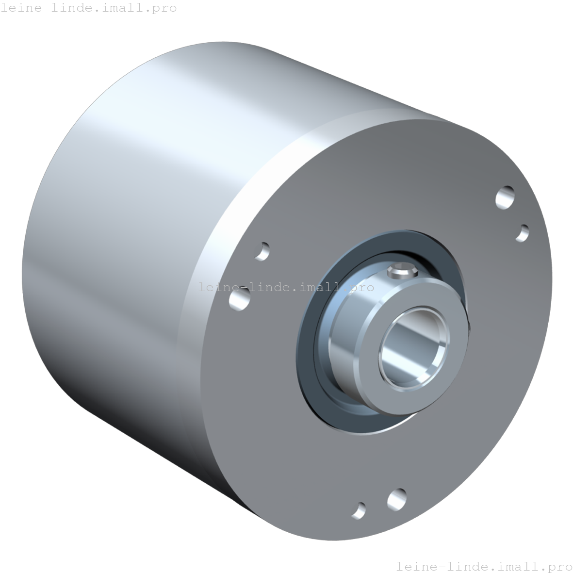 650689-01 Leine & Linde