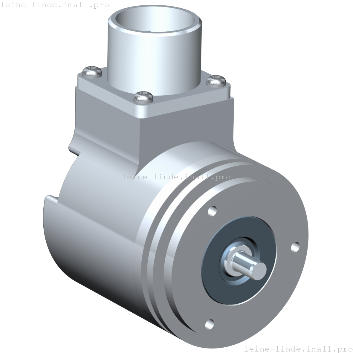 689255-01 Leine & Linde