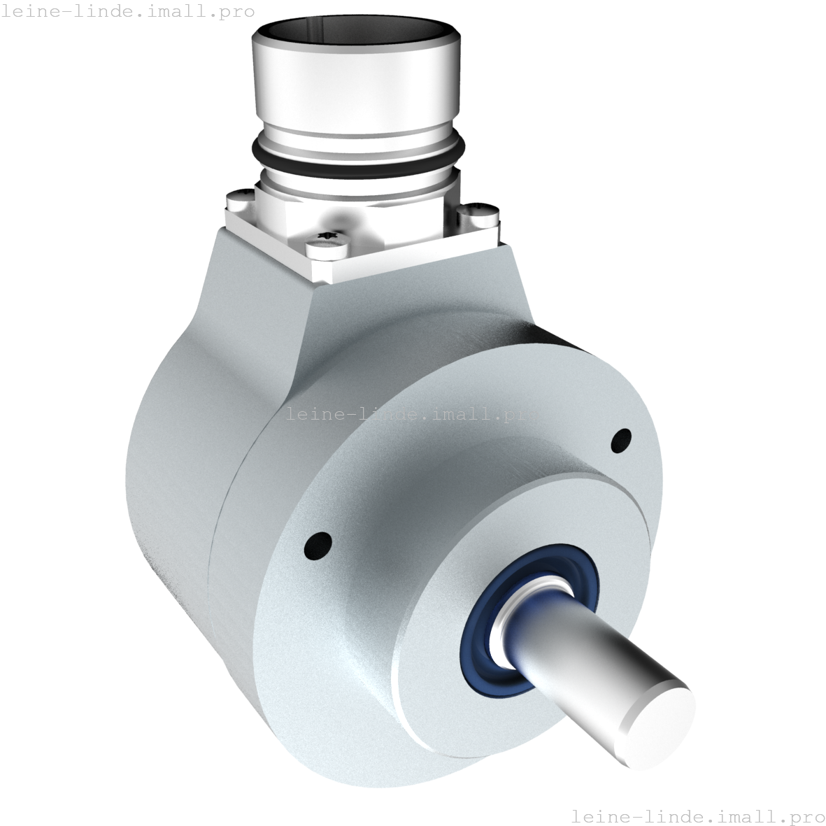 810206-01 Leine & Linde