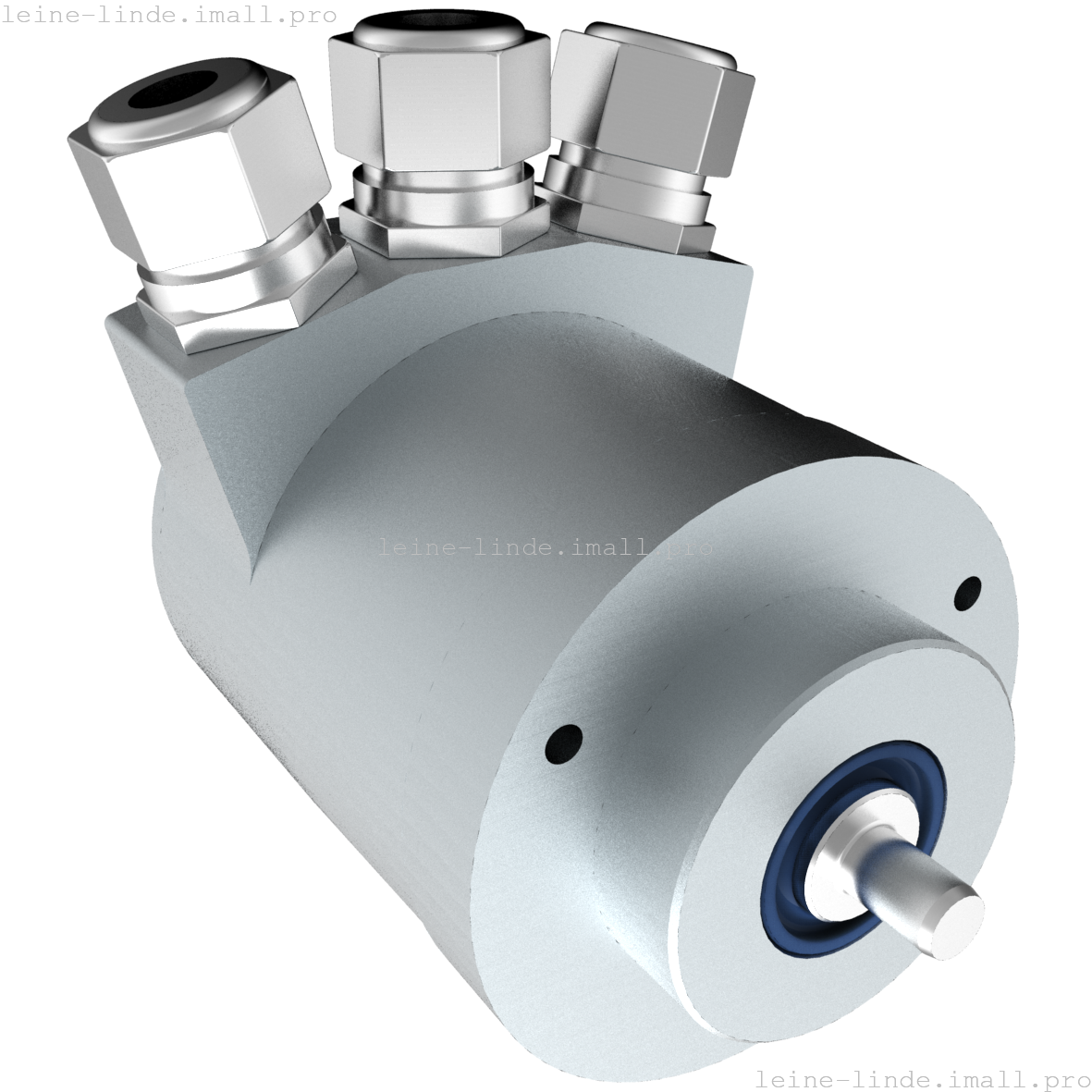 809650-01 Leine & Linde