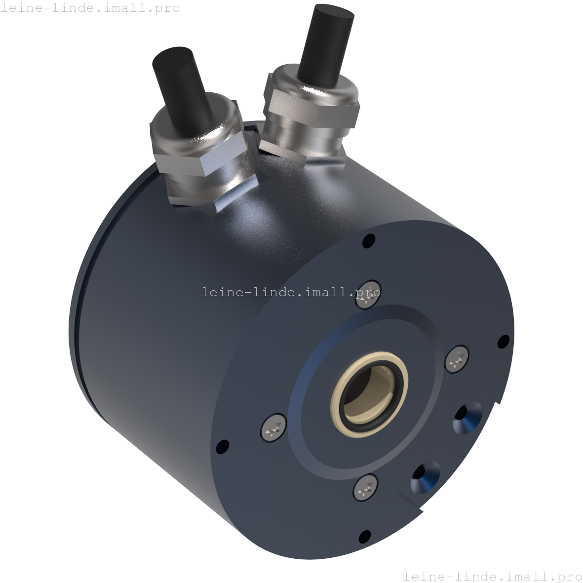 1303256-10 Leine & Linde