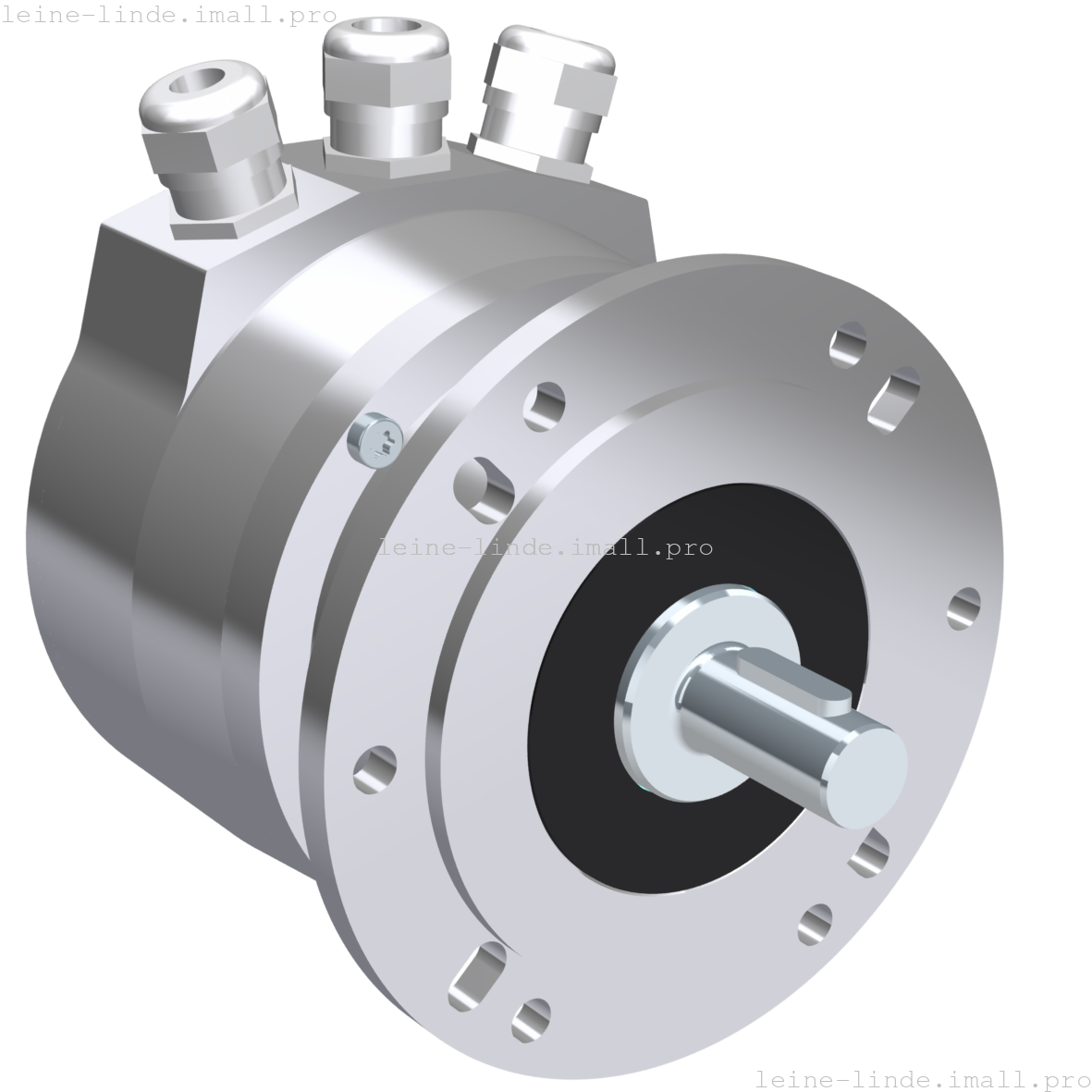 1153095-01 Leine & Linde