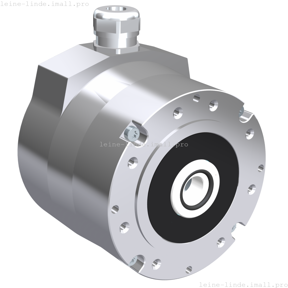 1175803-01 Leine & Linde