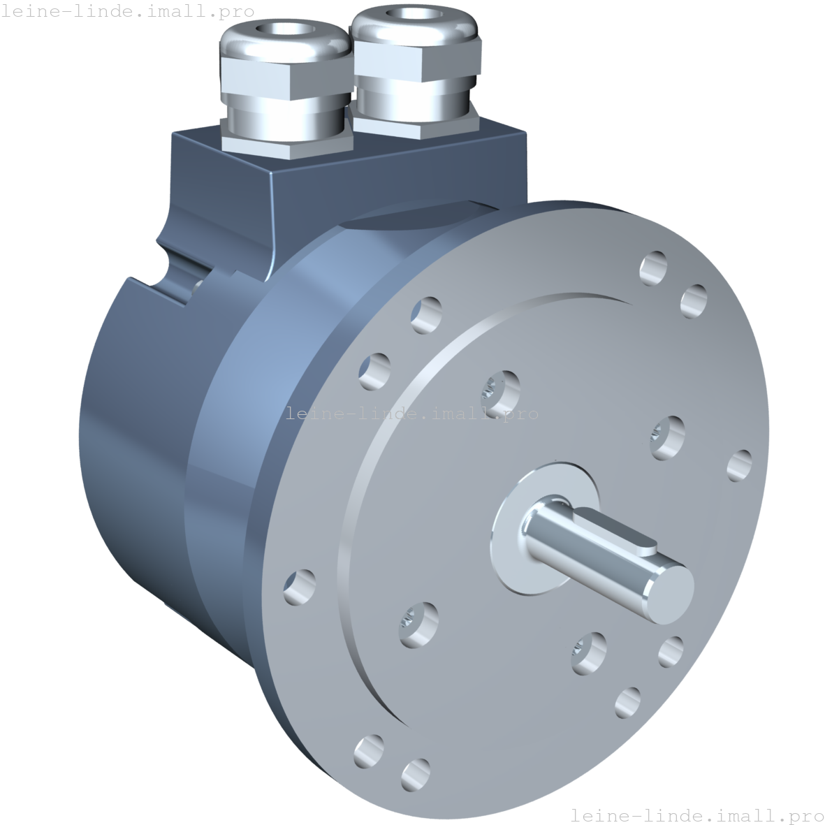 1298618-01 Leine & Linde